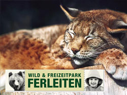 Wild & Freizeitpark Ferleiten